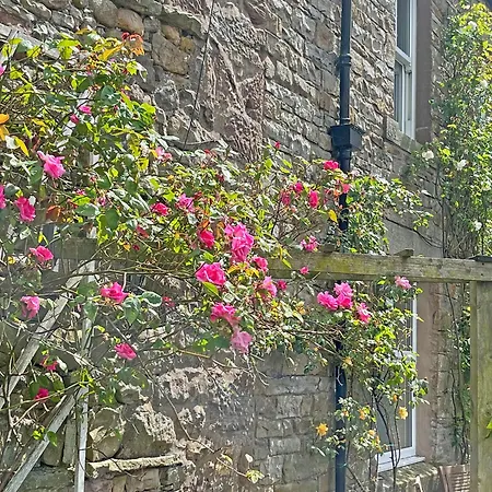 Clifford Courtyard